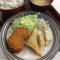 海鮮カツ・餃子・カレー春巻き