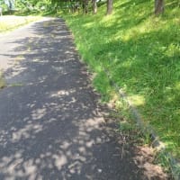 気分転換、ネジバナRUN