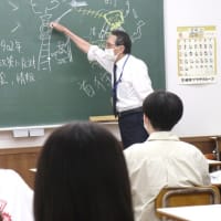 鮮やかな緑に、爽やかな白♪