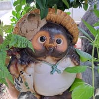 目の上のたんこぶ？