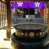 埴生護国八幡宮＆倶利伽羅不動寺そして八重桜