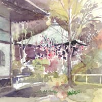 紅梅咲く鎌倉淨光明寺 - 無名シニアの水彩画日記