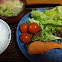 オーソドックスな鮭定食