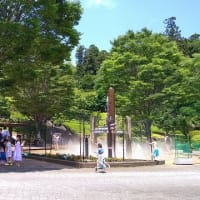 宮ケ瀬ダムとあいかわ公園　2024