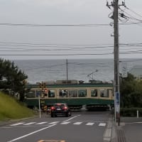 函館マラソン反省会