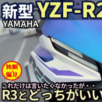 ヤマハ 新型 YZF-R25 2025 試乗レビュー！（動画あり）R3とも比較！