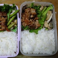 我が家のお弁当(∩´∀｀)∩ﾜｰｲ　2025/06/12とその前