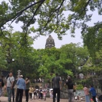蘇州　虎丘　紫陽花と虎丘塔影園民俗文化展庁