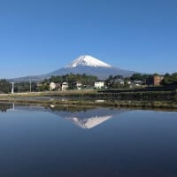 今朝の富士山（20250430）田んぼに映える逆さ富士