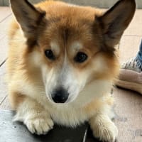 オフ会