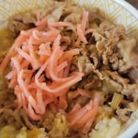 早い・安い・旨いのすき屋でした・・！