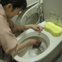 掃除の日