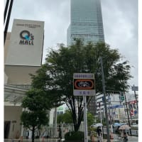 今日いち-2025年6月11日