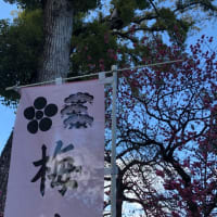 2020 北野天満宮•晴明神社