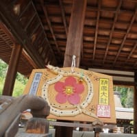 京都、梅宮大社　（2025年6月 21日）