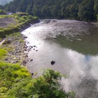今日の那賀川上流
