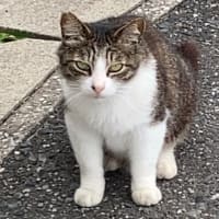 巻絹の糸まきまき