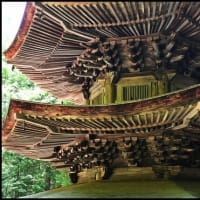「安楽寺」の 国宝八角三重塔