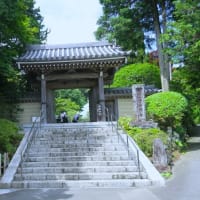 鎌倉散歩～旧華頂宮邸・浄妙寺