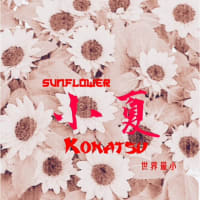 ヒマワリ1ミニヒマワリ 面倒くさがり屋の園芸 付きw Kayと草花との日々