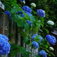 涼風献上・妹背滝　250619