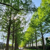 ４月２６日　中学時代のクラス会のお誘い！
