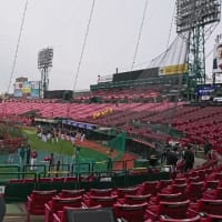 プロ野球開幕！