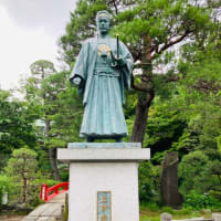 紫陽花。