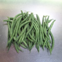 蔓なしサヤインゲンに支柱をし収穫開始