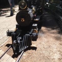 森の中を走る蒸気機関車の旅: