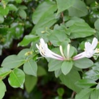 積年の遺恨。