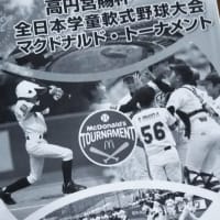 今、野球がアツい