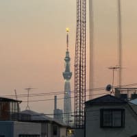 2025/6/29の夕焼け