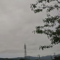 小雨の伊豆の空