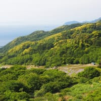 静岡県・伊豆市の「石部棚田」