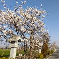 不思議な出会い
