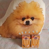 ヤングコーン