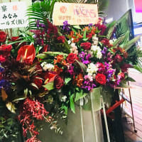 トップコレクション 松原 みき 訃報 人気のある画像を投稿する トップコレクション 松原 みき 訃報 人気のある画像を投稿する