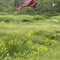 栂池自然園