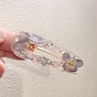 ヘアクリップの日。