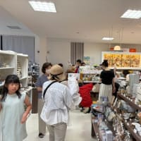 今日も孫の子守り・アピデ＆タッチ「はんぱ物テント市」二日目