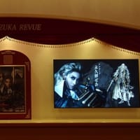 宝塚歌劇花組公演～悪魔城ドラキュラ、愛，Love Revue！