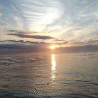 今年の釣りをふり返り