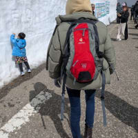 雪の立山アルペンルート！大谷ウォーク！室堂！
