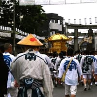 平野郷夏まつり・神輿巡行 と 杭全神社・弁天池のミソハギ
