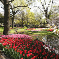 4/10(水)　お花見🌸&昭和記念公園🌷