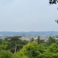 今日は