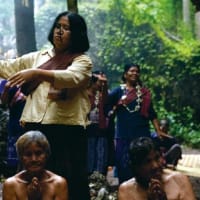 映画感想「女神の継承」