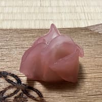 森八さん「水牡丹」