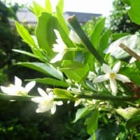 きょうから7月
